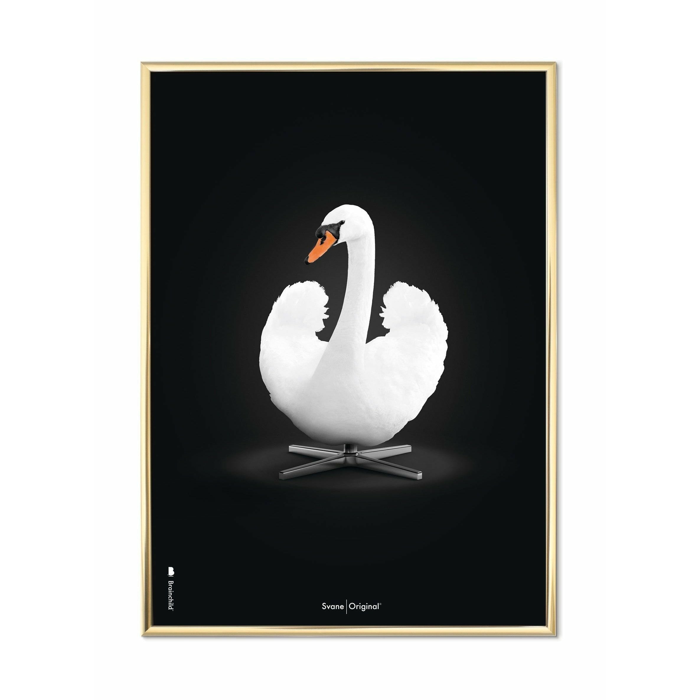 Brainchild Svane Klassisk Plakat, Messingfarvet Ramme 70X100 Cm, Hvid/Sort Baggrund