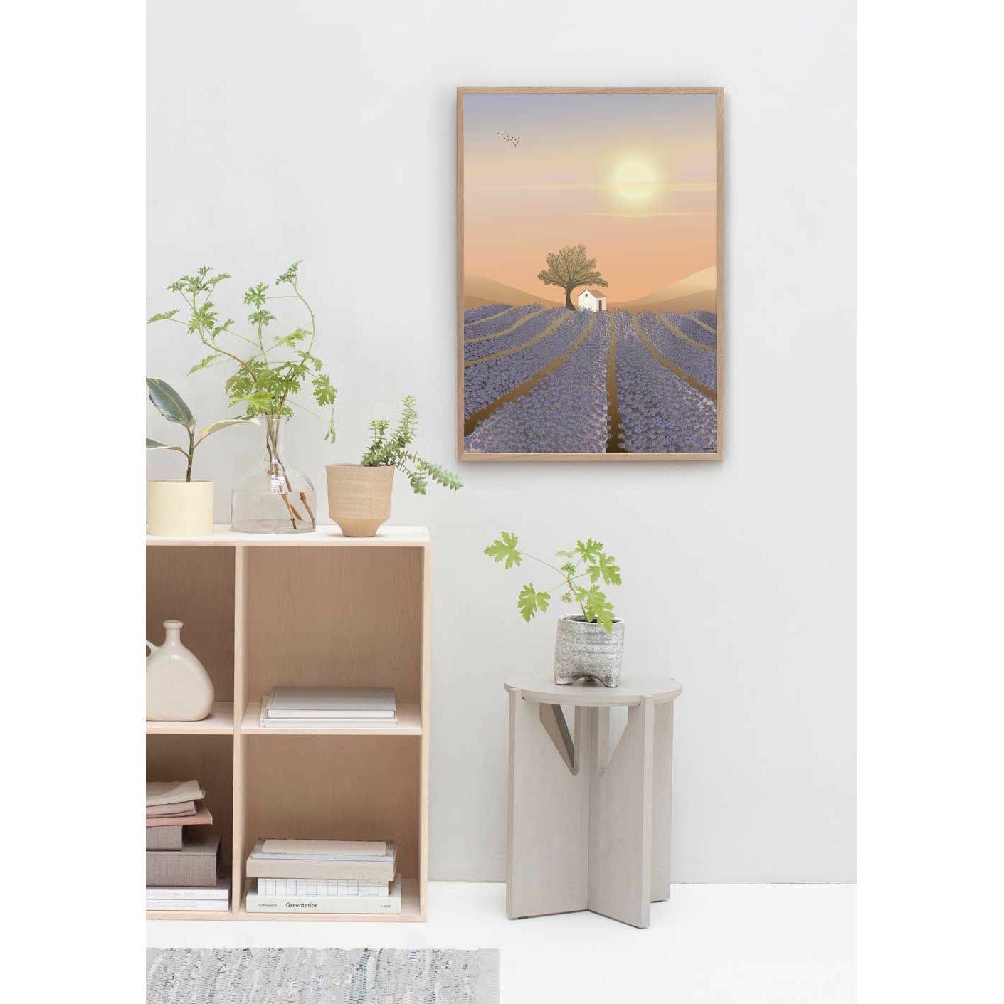 Vissevasse Lavender Field Plakat, 50x70 cm