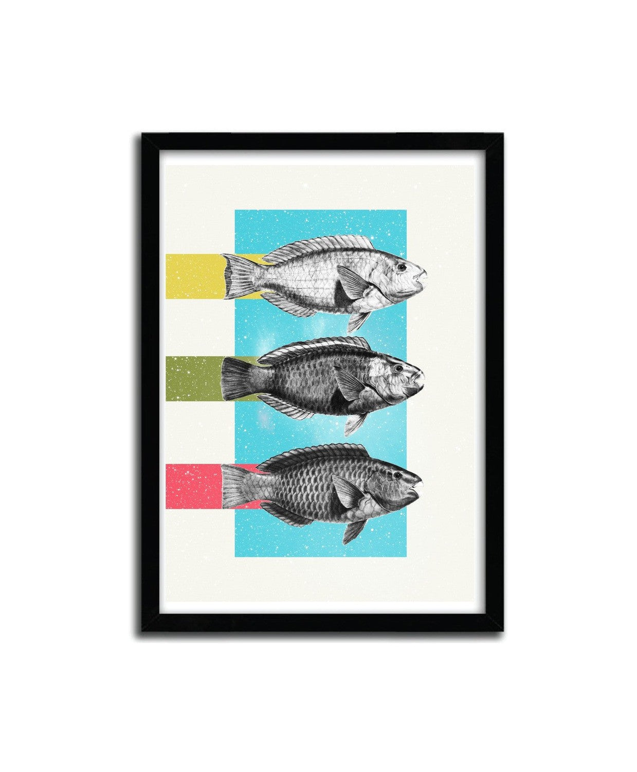 Affiche FISHES by DANNY IVAN